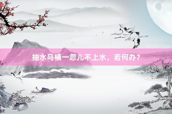 抽水马桶一忽儿不上水，若何办？