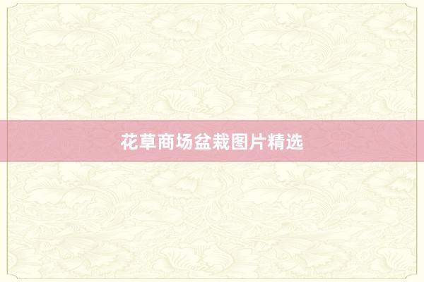 花草商场盆栽图片精选